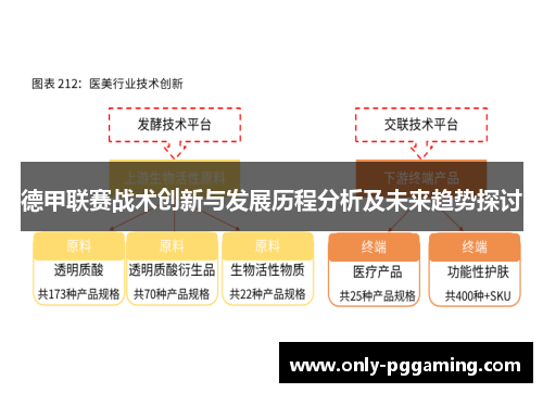 德甲联赛战术创新与发展历程分析及未来趋势探讨