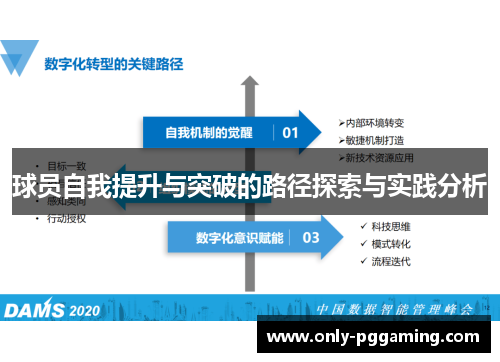 球员自我提升与突破的路径探索与实践分析