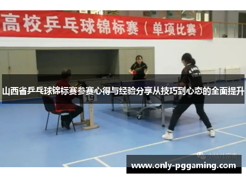 山西省乒乓球锦标赛参赛心得与经验分享从技巧到心态的全面提升
