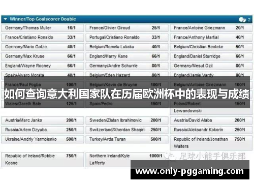 如何查询意大利国家队在历届欧洲杯中的表现与成绩