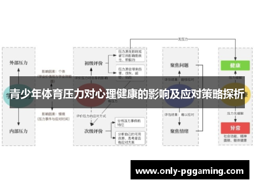 青少年体育压力对心理健康的影响及应对策略探析