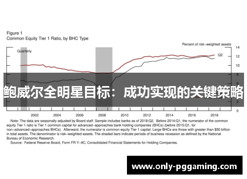 鲍威尔全明星目标:成功实现的关键策略