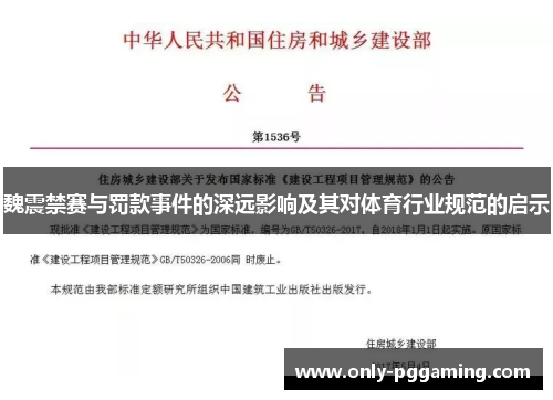 魏震禁赛与罚款事件的深远影响及其对体育行业规范的启示