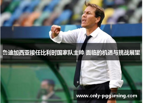 鲁迪加西亚接任比利时国家队主帅 面临的机遇与挑战展望